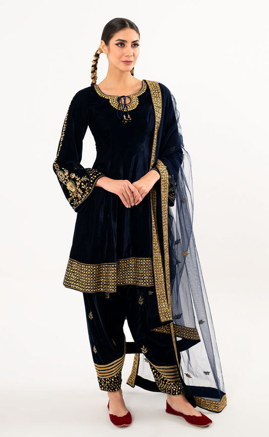 Velvet A-Line Princess Cut Kurta Set with Pakistani Salwar and Net Dupatta