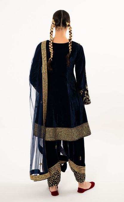 Velvet A-Line Princess Cut Kurta Set with Pakistani Salwar and Net Dupatta