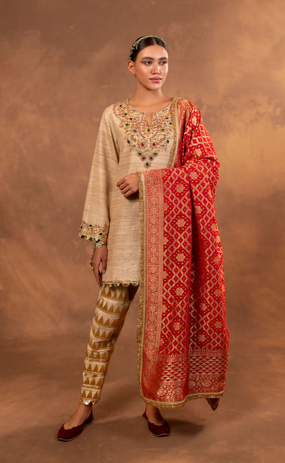 Hand Embroidered Straight Cut Kurta Set with Brocade Pakistani Salwar and Dupatta