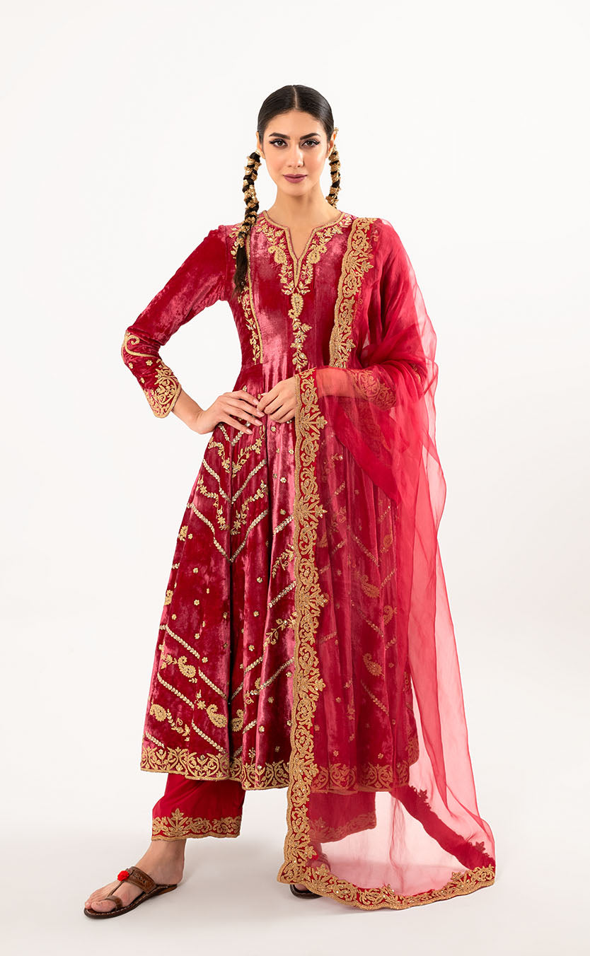 Hand Embroidered Velvet Anarkali with Silk Salwar and Organza Dupatta