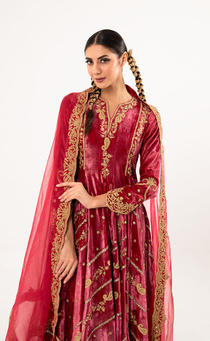 Hand Embroidered Velvet Anarkali with Silk Salwar and Organza Dupatta