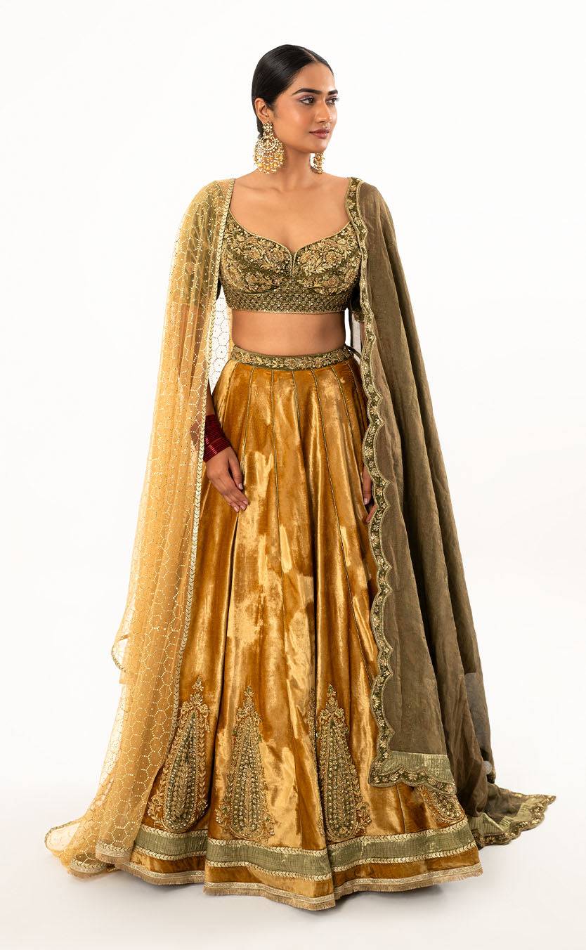 Zardozi Embroidered Velvet Choli & Lehenga Set with Net Shawl