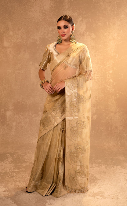 3D Embroidered Net Drape Saree with Gold Tissue Blouse