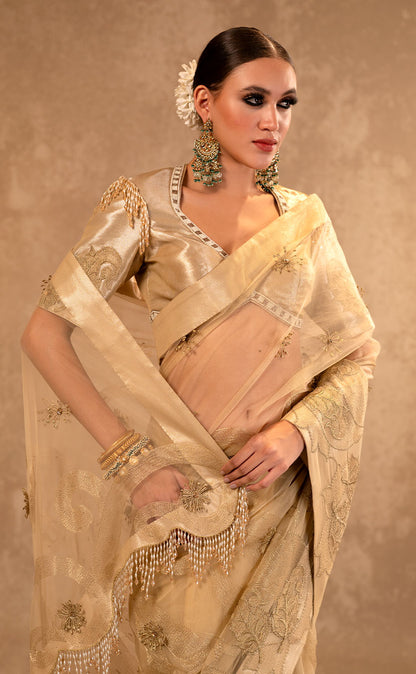 3D Embroidered Net Drape Saree with Gold Tissue Blouse