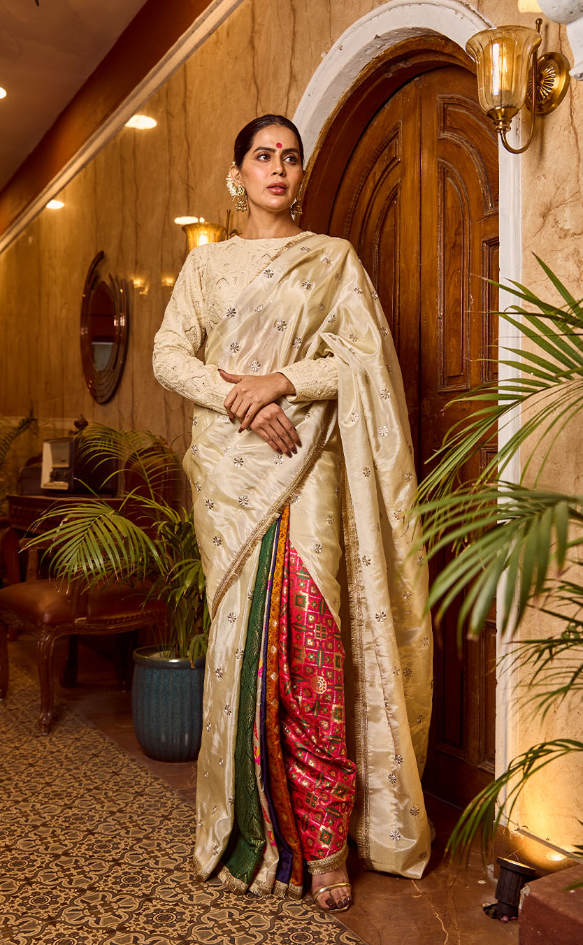 Draped Multi-Colored Saree