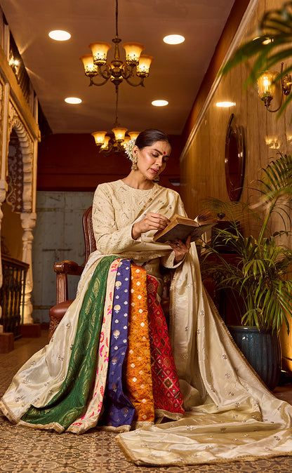 Draped Multi-Colored Saree