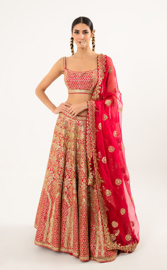 Lehenga Choli Set with Organza Dupatta