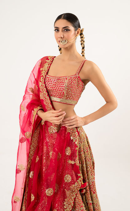 Lehenga Choli Set with Organza Dupatta