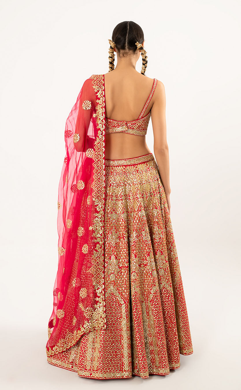 Lehenga Choli Set with Organza Dupatta