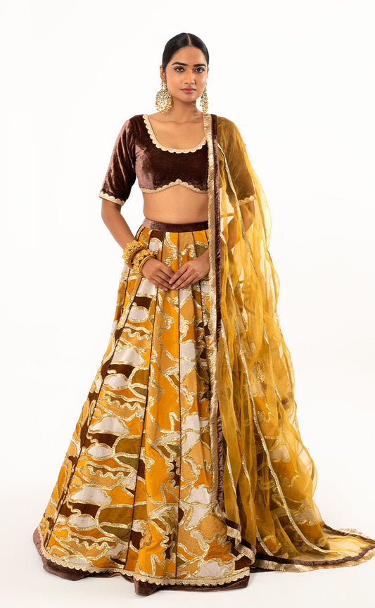 Multi Colour Velvet Lehenga with Choli and Gold Embroidered Dupatta