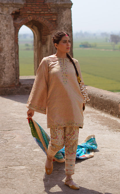 Hand Embroidered Straight Cut Kurta with Pakistani Salwar and Dupatta