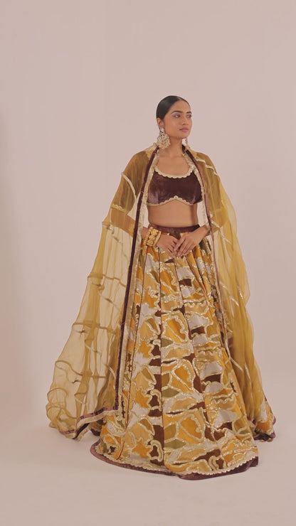 Multi Colour Velvet Lehenga with Choli and Gold Embroidered Dupatta