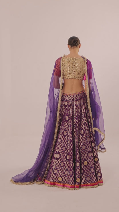 Pearl Embroidered Choli & Lehenga Set with Organza Dupatta