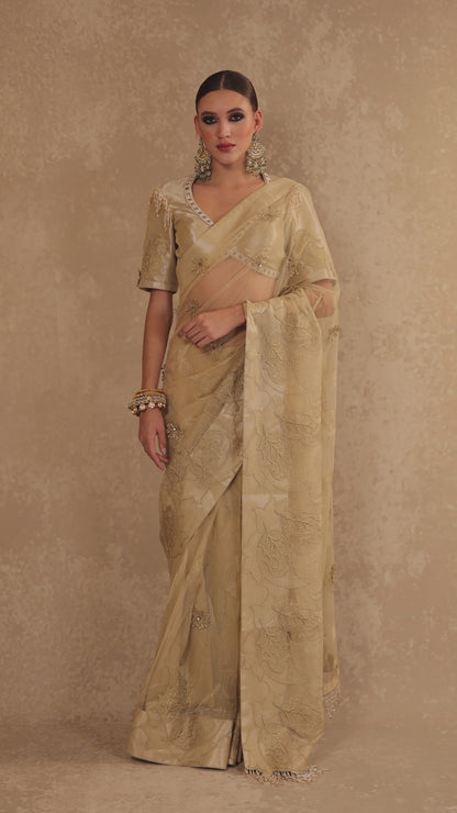 3D Embroidered Net Drape Saree with Gold Tissue Blouse