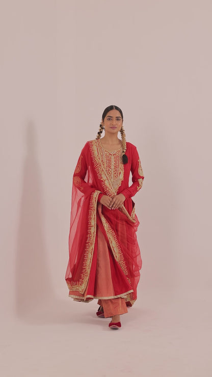 Full-Length Anarkali and Plazzo Set with Organza Dupatta